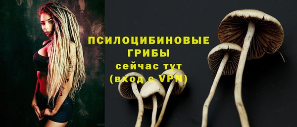 мескалин Новозыбков