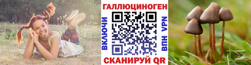 Псилоцибиновые грибы GOLDEN TEACHER  Суоярви 
